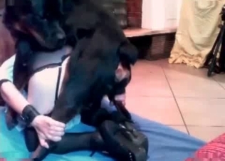 Dog fucking this stacked chick