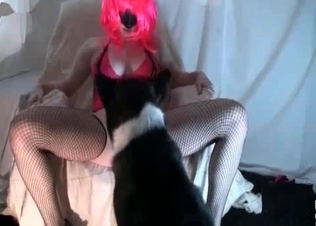 Moist cunt pleasured by a dog