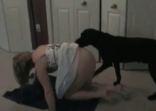 Black puppy fucking a MILF