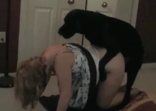 Black puppy fucking a MILF