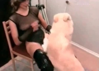 Amazing animal sex with a dog