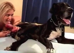 Amazing animal fucking with a chubby blonde