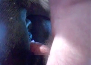 Close up shots of mustang fingering action