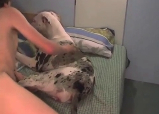 Horny pet kissing its owner