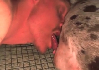 Horny pet kissing its owner