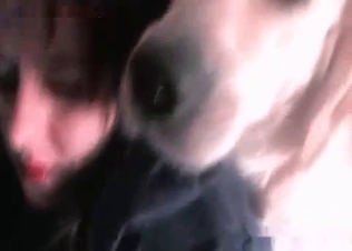 Dog fucking sexy maid