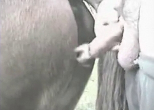 Slutty animal and a big thick dick