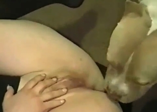 Dog Dick being blown by a hottie