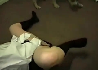 Dog Dick being blown by a hottie