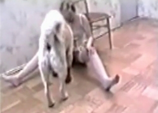 Dog fucking this blonde slut
