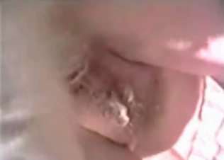 Dog fucking this blonde slut