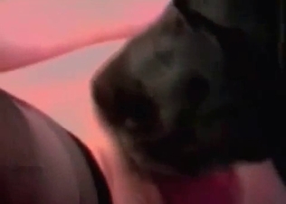 Nasty snatch being pleasured orally