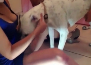 Kinky action with a dog
