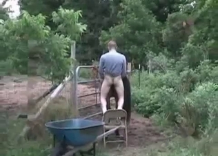 Pleasuring this tight little horse