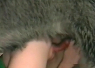 Sexy doggy fucking two babes