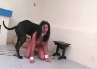 Kinky slut fucked by a giant animal