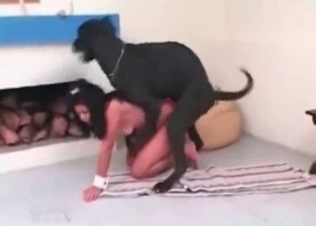 Kinky slut fucked by a giant animal