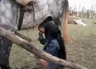 Stallion blown by a juicy jockey
