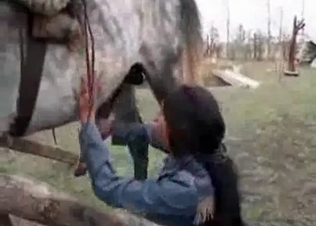 Stallion blown by a juicy jockey