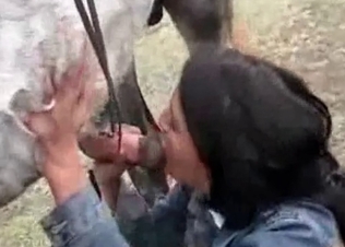 Stallion blown by a juicy jockey
