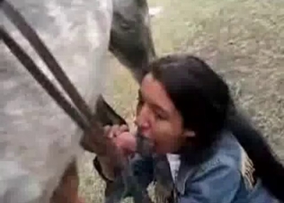 Stallion blown by a juicy jockey