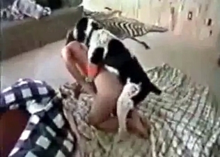 Sexy dog fucking its owner