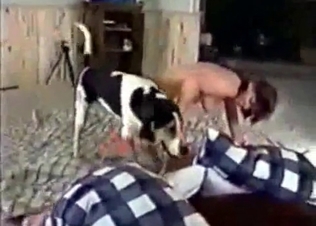 Sexy dog fucking its owner