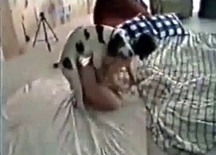 Sexy dog fucking its owner