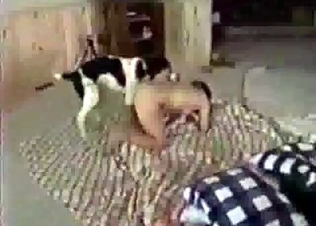 Sexy dog fucking its owner