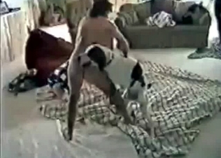 Sexy dog fucking its owner