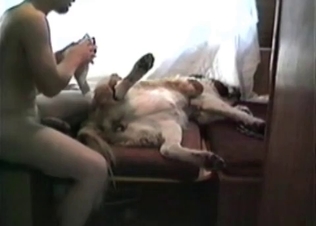 Asshole stretching for a dog