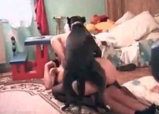 Kissing between a boxer and a slut