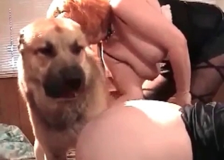 Retriever fucking this milf
