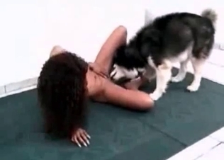 Husky fucking like a pro