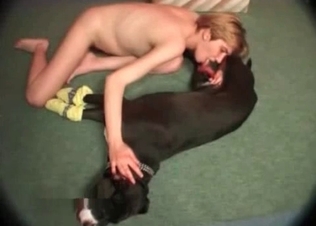 Sloppy blowjob for a black hound