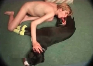 Sloppy blowjob for a black hound