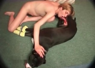 Sloppy blowjob for a black hound