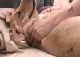 Kinky doggy getting used