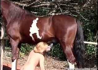 MILF and a horny horse