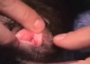 Juicy boner sucked by a dog