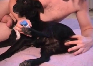 Juicy boner sucked by a dog
