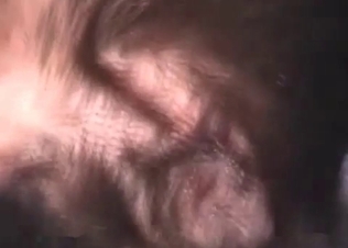 Juicy boner sucked by a dog