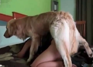 Puppy fucking masked slut