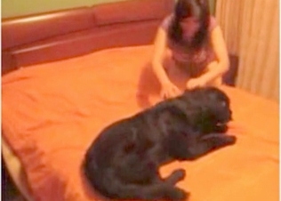 Dog fucking with a girl