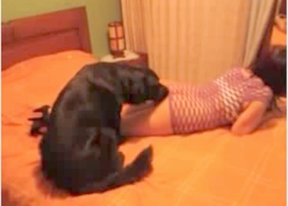 Dog fucking with a girl
