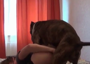 Doggy style animal fucking action