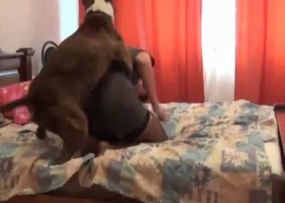 Doggy style animal fucking action