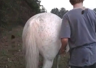 Getting an innocent horse horny