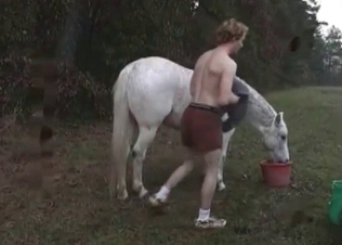 Getting an innocent horse horny