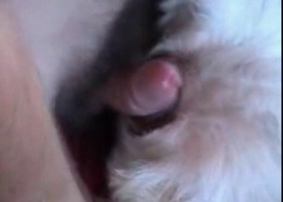 Finger blasting this tight animal asshole